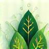 Icona Soluzioni Green