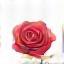 Logo Villa delle Rose
